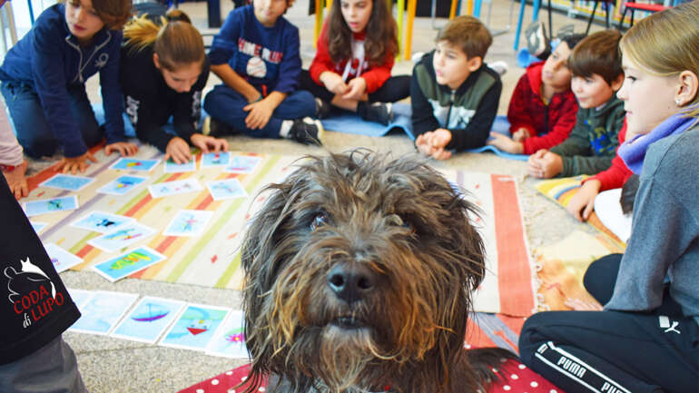 PROGETTO PET THERAPY: FIDATI DI MEM